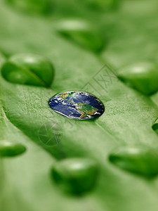 大地上的雨水 在青绿的叶子上图片