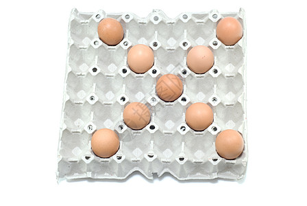 X 白色背景的鸡蛋字母表图片