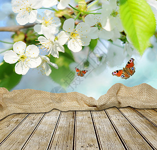 空表格蝴蝶天气风景叶子码头野生动物生态地面花园宏观图片