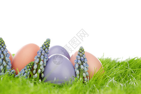 复活节鸡蛋传统礼物白色蓝色季节性绿色粉色草地季节庆典图片