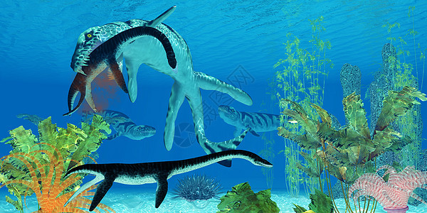 海洋冷冻剂海洋生物古艺术爬行动物牙齿游泳环境爬虫侏罗纪动物攻击图片