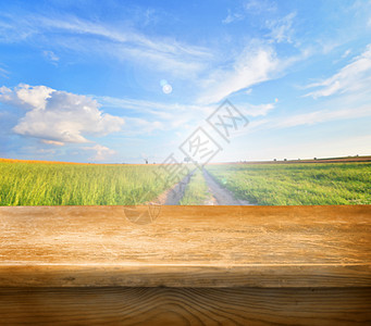空表格农作物架子天空窗台农场国家农田插图粮食小路图片