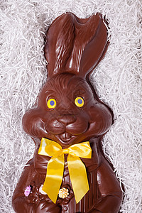 一个大巧克力兔子的详情快乐可可糖果小吃乐趣传统宏观庆典假期食物图片