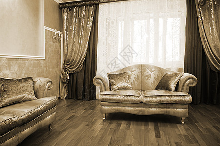 美丽的沙发硬木木地板软垫奢华长沙发生活窗帘枕头窗户房间图片