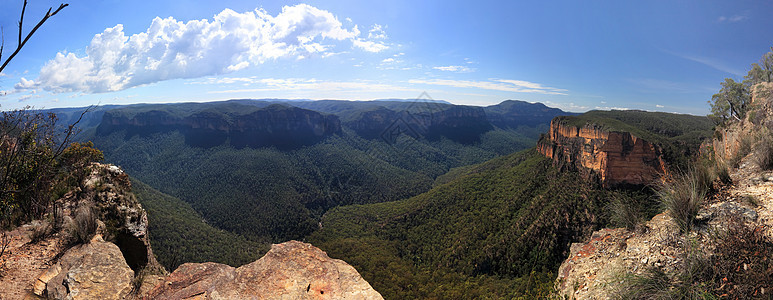 Grose 蓝山山谷 澳大利亚全景图片