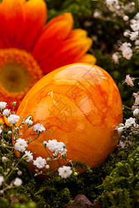 紫橘橙色复活节蛋 配有雪贝拉和玫瑰稻草橙子愿望礼物鸡蛋宗教童年假期季节问候语图片