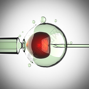 灰色背景的人工授精生物学科学生物胚胎基因型基因组技术注射微生物学生活图片