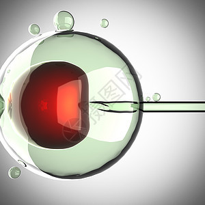 灰色背景的人工授精系统化学细胞怀孕胚胎生活基因型基因生物学科学图片