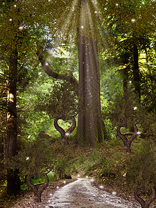 魔法森林树叶异国风景树木梦幻故事叶子魅力情调神话图片