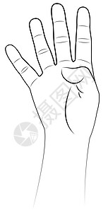 四指向上 手向矢量数字时间数数身体艺术学校棕榈卡通片手指字体图片