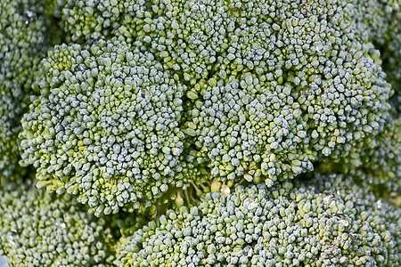 花椰醇蔬菜生态照片树叶植物绿色植物学食物背景图片