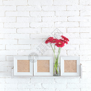 装饰架架房间架子雏菊正方形创造力照片格柏红色框架花朵背景图片