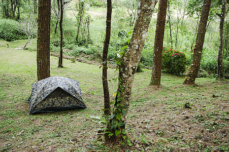 在泰国森林中扎营帐篷星星月亮旅游娱乐花园桌子旅行假期树木森林图片