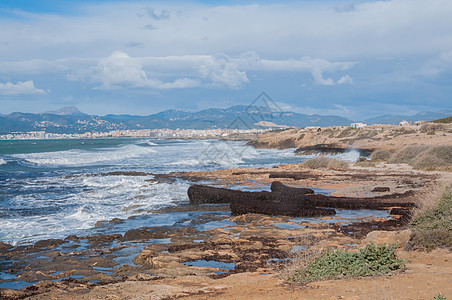 棕榈湾风季的海岸景色 在冬天蓝色旅行地平线海岸线海鸥航班支撑飞行海浪假期图片