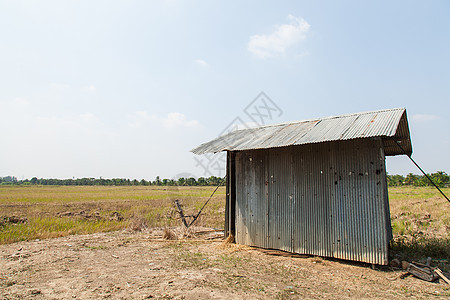 沿稻田的小型小屋图片