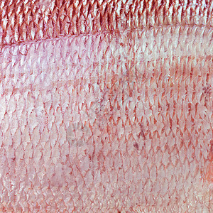 鱼类皮肤的纹理图片
