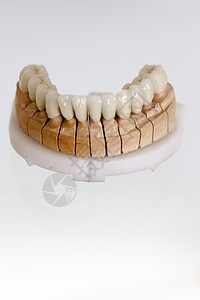 牙科仓库中的聚丙酸牙板板技术产品口服口腔临床金属牙医宏观修复学制品图片