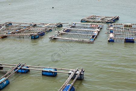 海里的鱼池图片