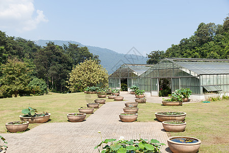 建筑植物育种温室乡村房子农业金属窗户风景公园栽培种植园图片