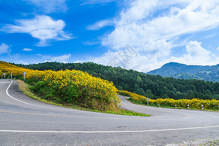 山上弯曲道路场景旅行街道爬坡农村国家风景天空花朵植物图片