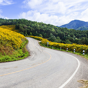 山上弯曲道路树木植物场地沥青运输天空农村小路路线蓝色图片