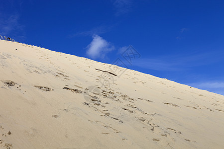 Pyla 南皮拉海岸地平线晴天海洋沙漠天空旅行海滩闲暇森林图片