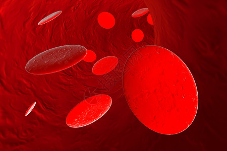 血液中的血红蛋白细胞图片