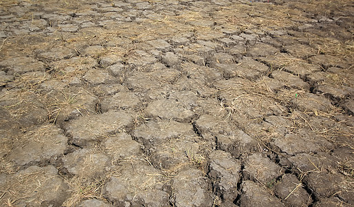 干裂地作为背景或纹理地球天气全球土壤干旱土地皮肤灾难灰尘沙漠图片