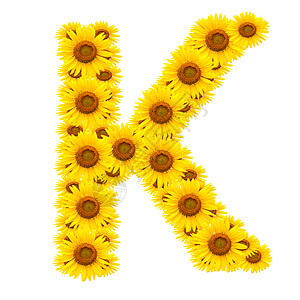 字母K K牧草字体花园植物学植物群植物向日葵香水太阳数字图片