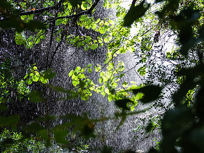 降雨瀑布淋浴风化水循环生态气候植被天气折射运动绿色图片