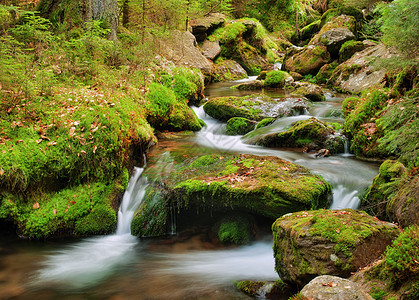 水溪春溪石头风景公园叶子森林运动溪流苔藓荒野环境背景