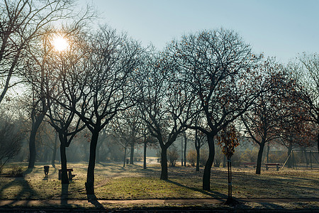 初春天气中的小公园背景图片