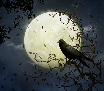 乌鸦和满月天空分支机构树叶故事书奶牛黑色墙纸想像力图片
