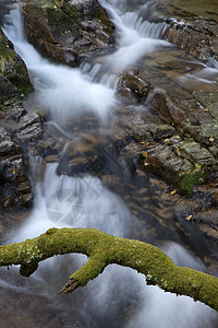 小河飞溅苔藓热带流动风景溪流地球娱乐植物避难所图片