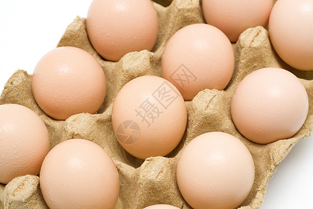 白背景上分离的十个鸡蛋早餐母鸡农场纸板盒子纸盒产品动物团体家禽图片