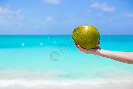 将椰子紧贴在雄性手中 对抗绿绿海天空蔬菜女士热带木头海岸棕榈牛奶饮食海洋图片
