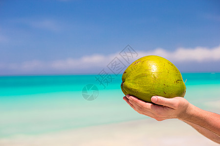 将椰子紧贴在雄性手中 对抗绿绿海可可海岸食物饮食游客牛奶蔬菜棕榈旅行天空图片
