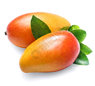 芒果卡通白底芒果 有机食品饮食叶子维生素甜点食物绿色美食水果热带背景