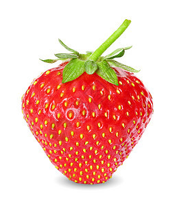 新鲜 多汁和健康的草莓 红白甜点浆果水果花园小吃绿色白色食欲饮食红色图片