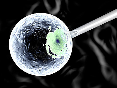 克隆受精卵排卵核酸注射基因组解剖学生育力科学细胞实验背景图片