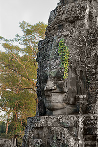 古代拜顿寺庙的石面 柬埔寨吴哥宗教考古学地标旅游高棉语佛陀植物雕刻纪念碑废墟图片