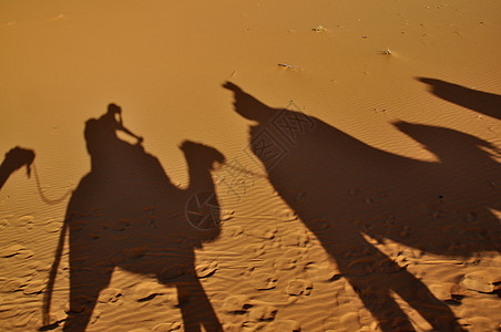 摩洛哥Merzouga沙漠骆驼的影子沙丘假期太阳橙子骑术冒险火车大篷车阴影沙漠图片