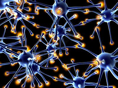 中日神经网络互动多核轴突生物神经元生物学信号解剖学思维感官图片