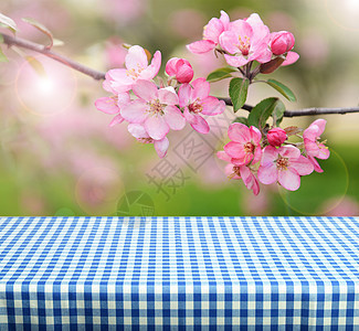 空表格广告叶子背景桌布花朵木板公园乡村木头海报图片