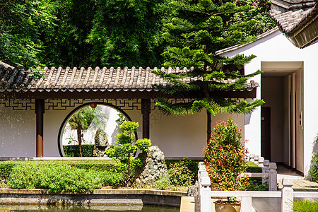 中国花园大门房子装饰风格羽毛装饰品橙子紫色玻璃松树墙纸图片