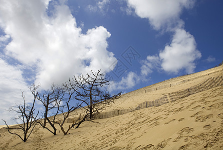 Pyla 南皮拉天空海滩脚印晴天地平线森林地标海洋海岸旅行图片