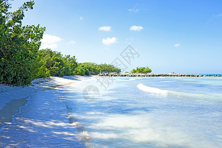 卡里比奇群岛阿鲁巴岛棕榈海滩图片