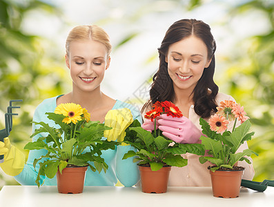 以花盆和园艺为花朵的家庭主妇花店爱好女性施肥绿色植物种植园丁微笑家务推杆图片