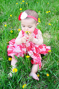 鲜花宝宝植物专注草地花朵晴天乐趣植物群女孩孩子农场图片