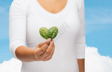 近身的女子手与绿芽地球农业生长生态光合作用植物食物天空发芽生物图片